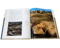 World Architecture Egypt From Prehistory to the Romans 2009 г Суперобложка, 224 стр ISBN 978-3-8365-1030-1 Язык: Английский Формат: 245x310 Мелованная бумага, Цветные иллюстрации инфо 6359z.