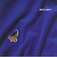 Skylab Skylab #1 Формат: Audio CD Дистрибьютор: Mercury Music Лицензионные товары Характеристики аудионосителей 1995 г Альбом: Импортное издание инфо 8954z.