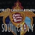 Cross Canadian Ragweed Soul Gravy Формат: Audio CD Дистрибьютор: Universal South Records Лицензионные товары Характеристики аудионосителей 2004 г Альбом: Импортное издание инфо 9801z.